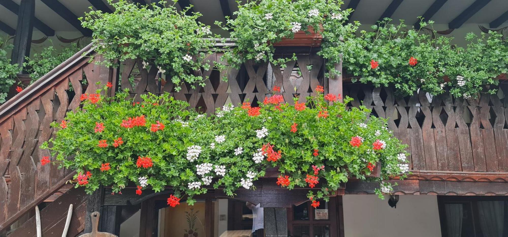 Стаи За Гости The Old House เวลินกราด ภายนอก รูปภาพ